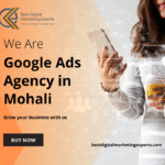 Google Ads Agency in Mohali